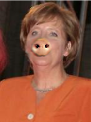 Miss Piggy hat Grippe