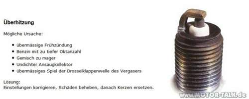Gut