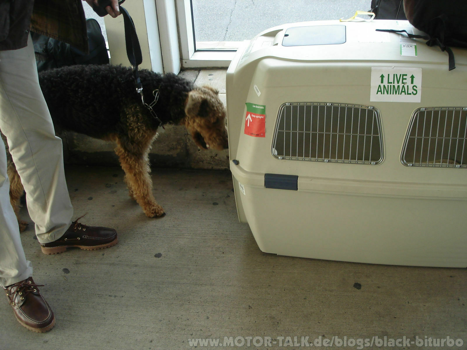 Mit dem Hund und Auto an die Ostküste!