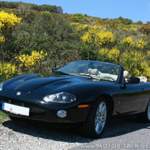 Xkr-10