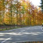 Img-4883