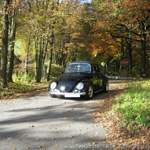 Img-4901