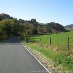 Img-4909