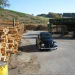Img-4894