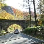 Img-4873