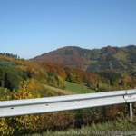 Img-4896