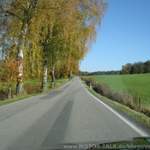 Img-4905