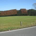 Img-4890