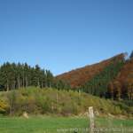 Img-4891