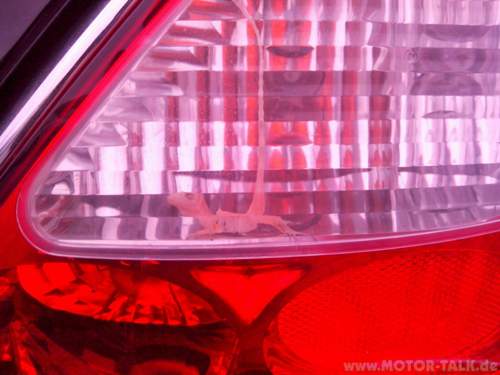 Img-20140210-101811
