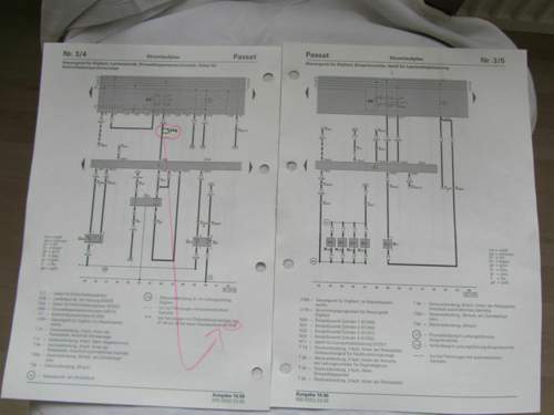 Img-2887