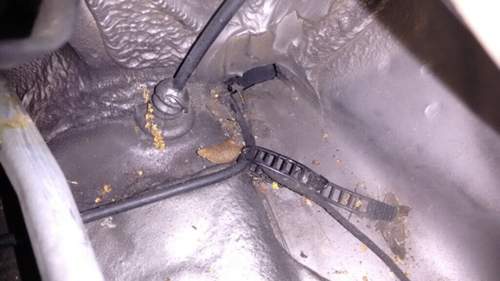 Img-20150511-191531859