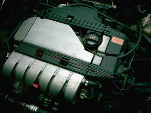 Motor-55771