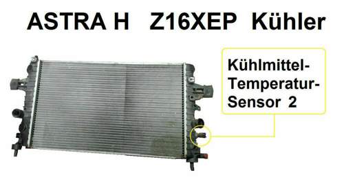 ETC 2 Kühler