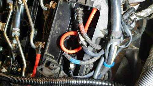 IMG_2020-11-03_11-42-22.jpeg