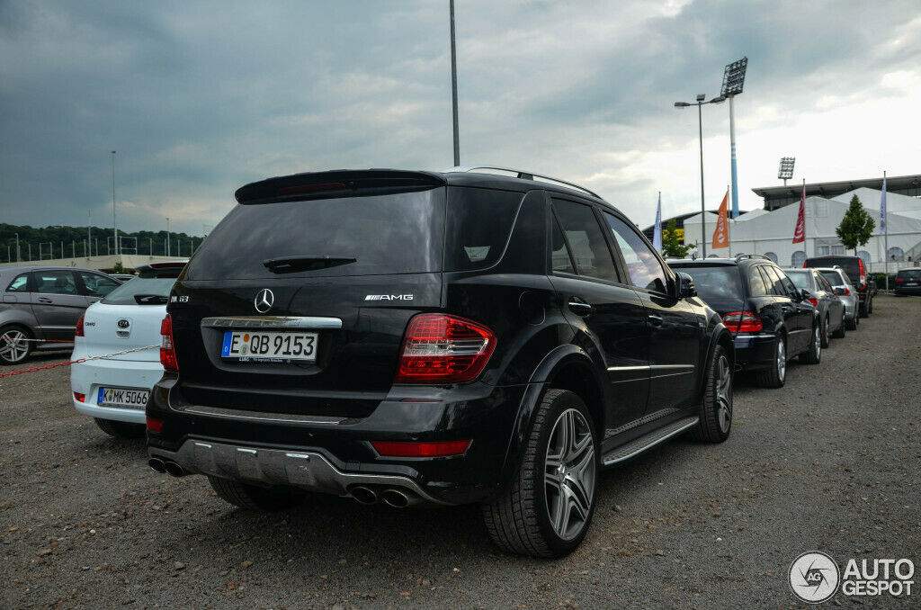 ML 270 CDI kaufen - oder lieber nicht?
