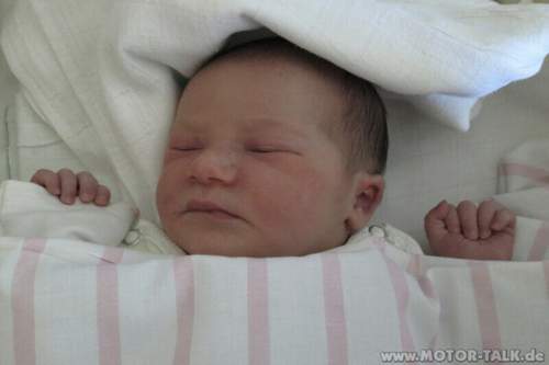 Img-2151