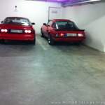 Img-0556