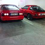 Img-0559