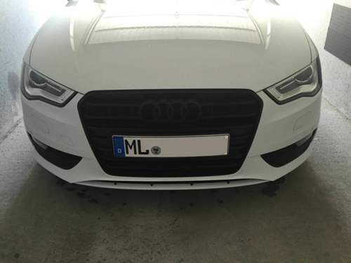 Alt1