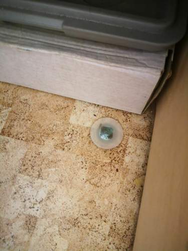 IMG_20200517_114358.jpg