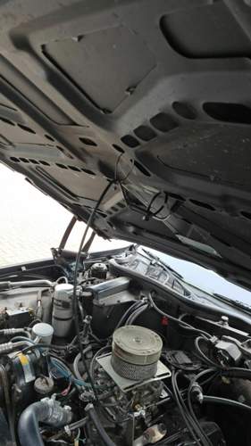 IMG-20210320-WA0016.jpeg