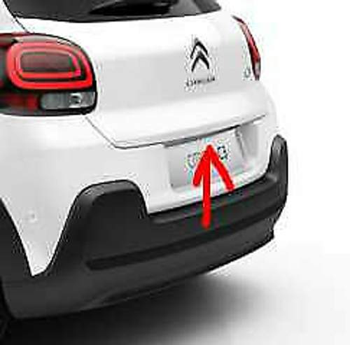 C3