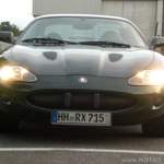 Der Jaguar zum gleiten