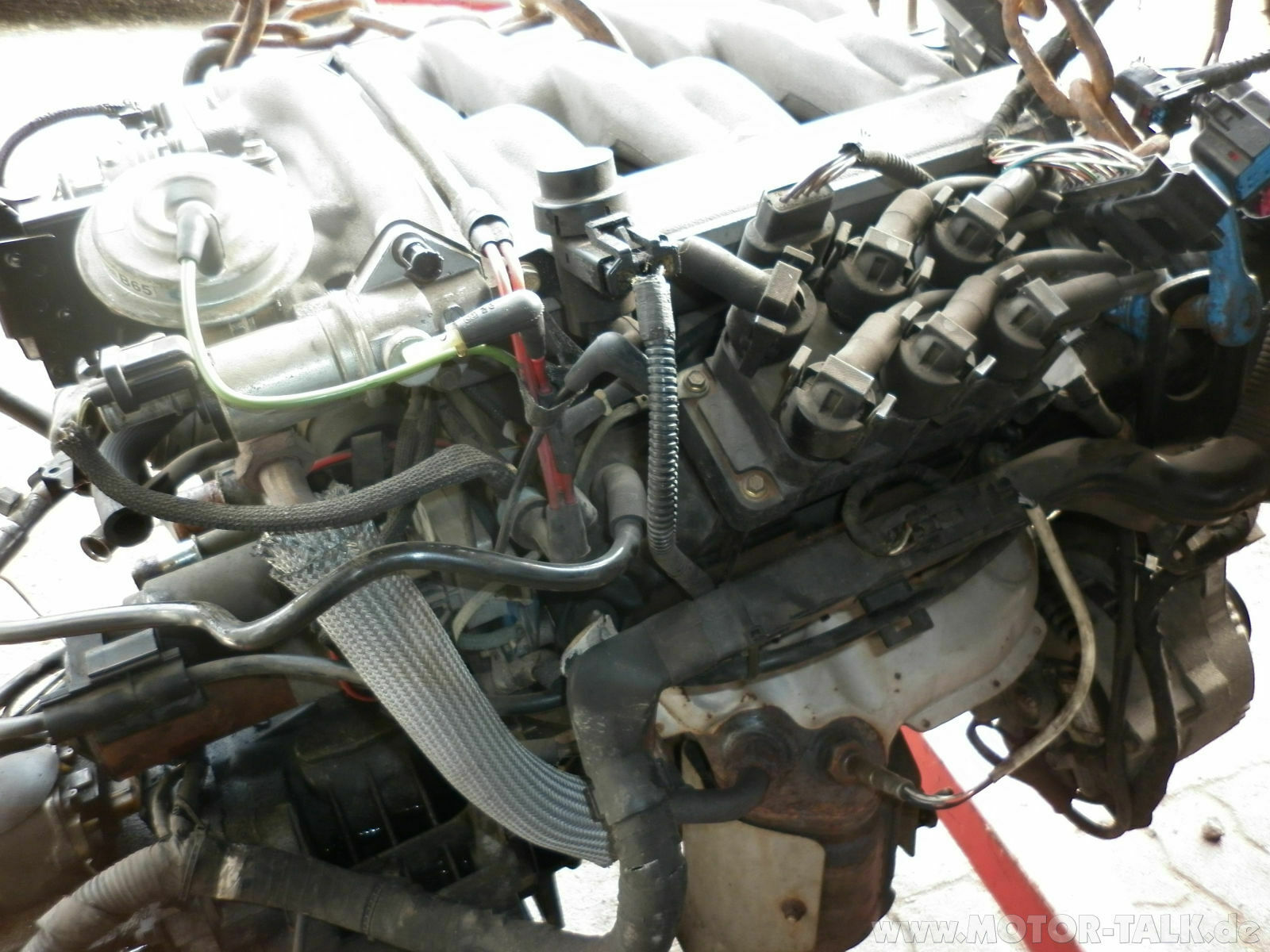 Mondeo V6 ZKD hin? Oder was meint ihr...