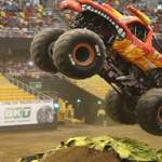 El toro loco: Wehe er ist wütend!