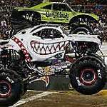 Monster Mutt Dalmatian: Kein netter Dalmatiner!