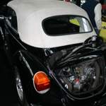 Img-7876