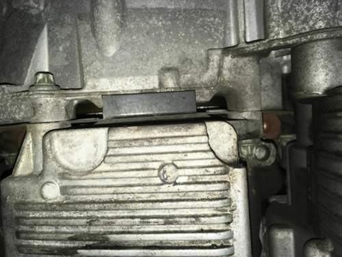 Img-0262