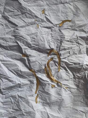 Kunststoff aus dem Benzindruckregler 1