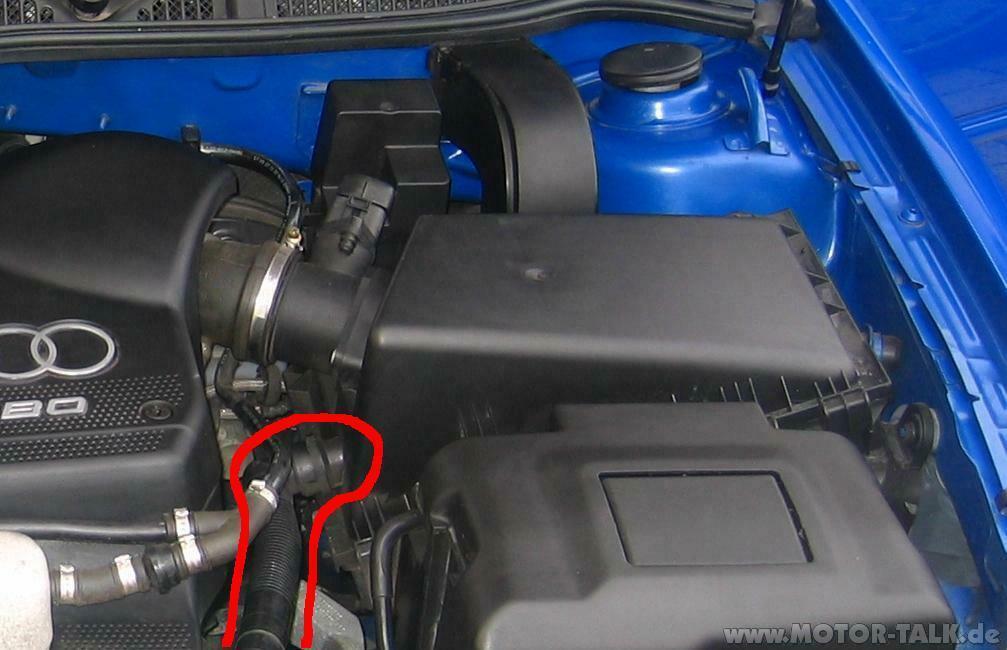 Motor laut und höhere Leerlaufdrehzahl für kurze Zeit nach dem Anlassen