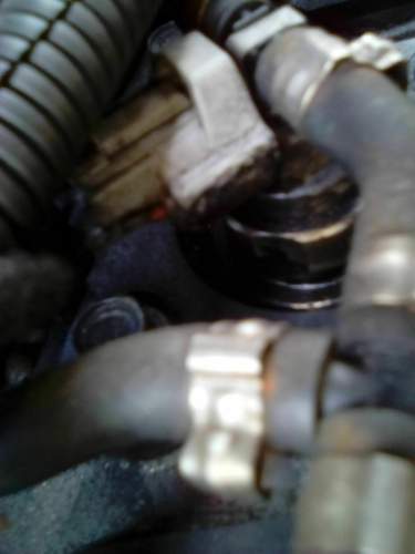 Stecker