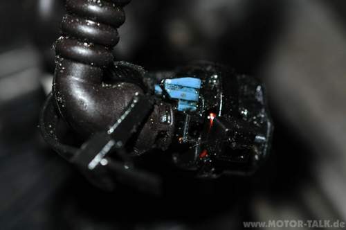 Dsc-2333
