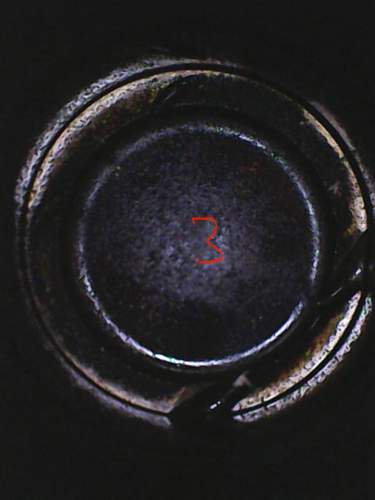 Zyl3