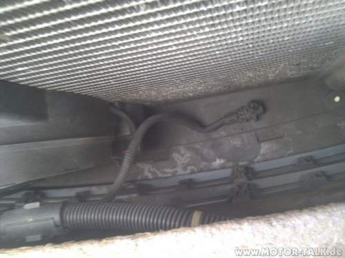 Img-20130302-161205
