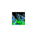 Bild-8