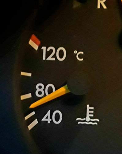 W124 Fernthermometer
