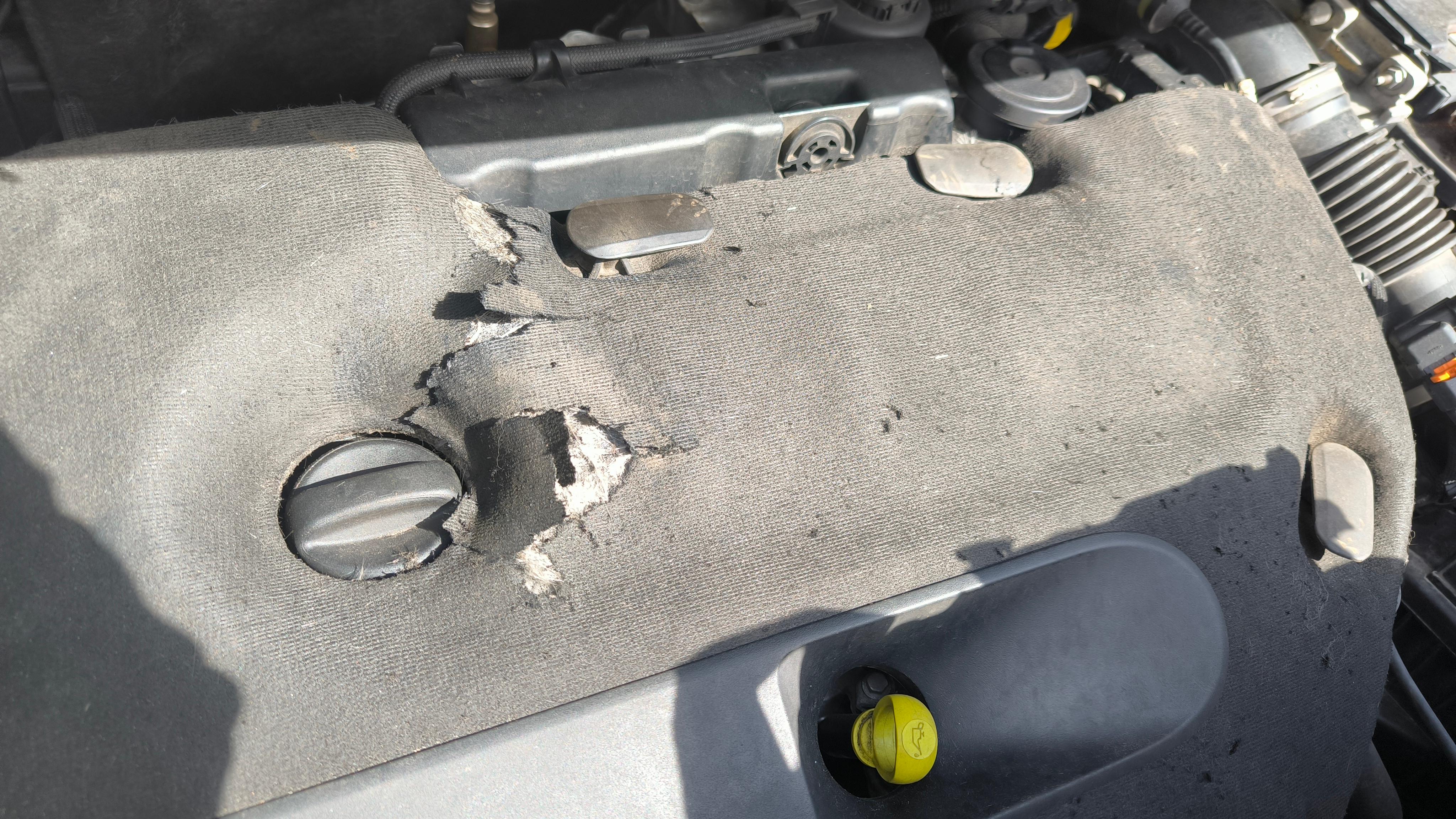 Motorabdeckung Vlies gerissen