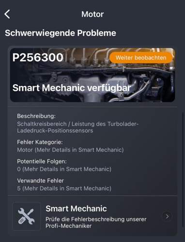 P256300