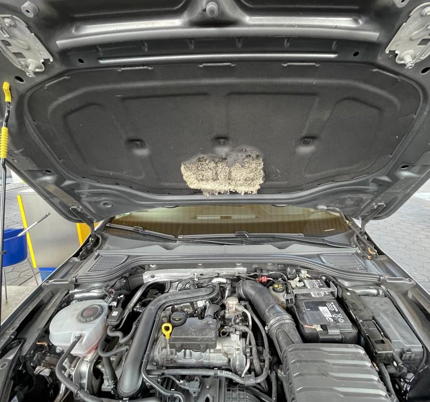 Motorhaubendämmung geschmolzen?