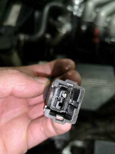 Stecker Motorkabelbaum 2
