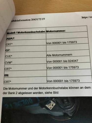 Bild 1.jpg