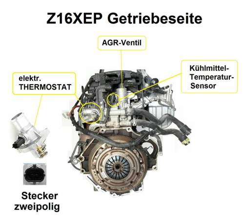 Z16XEP Thermostat + AGR-Ventil