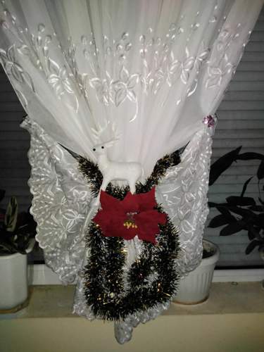 Img-20201212