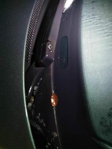 Img-20190111-210931