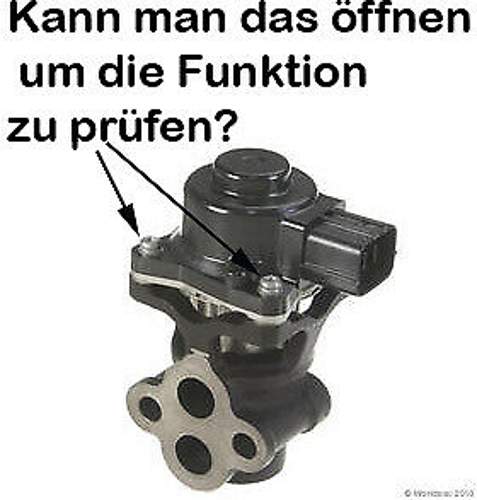 Egr1-1